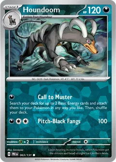 Houndoom Master Ball Holo 63